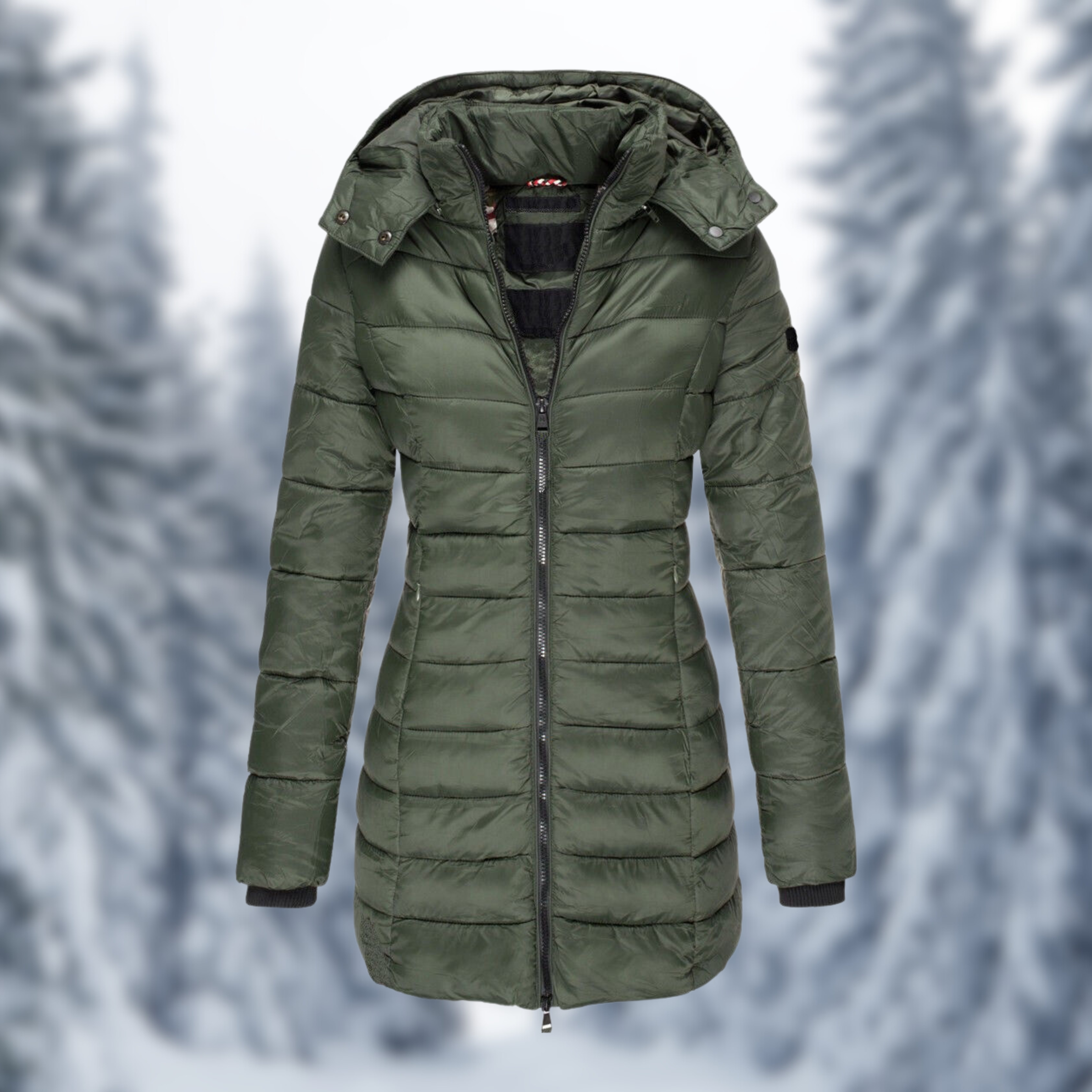 Damen Winterjacke mit Kapuze und Steppung