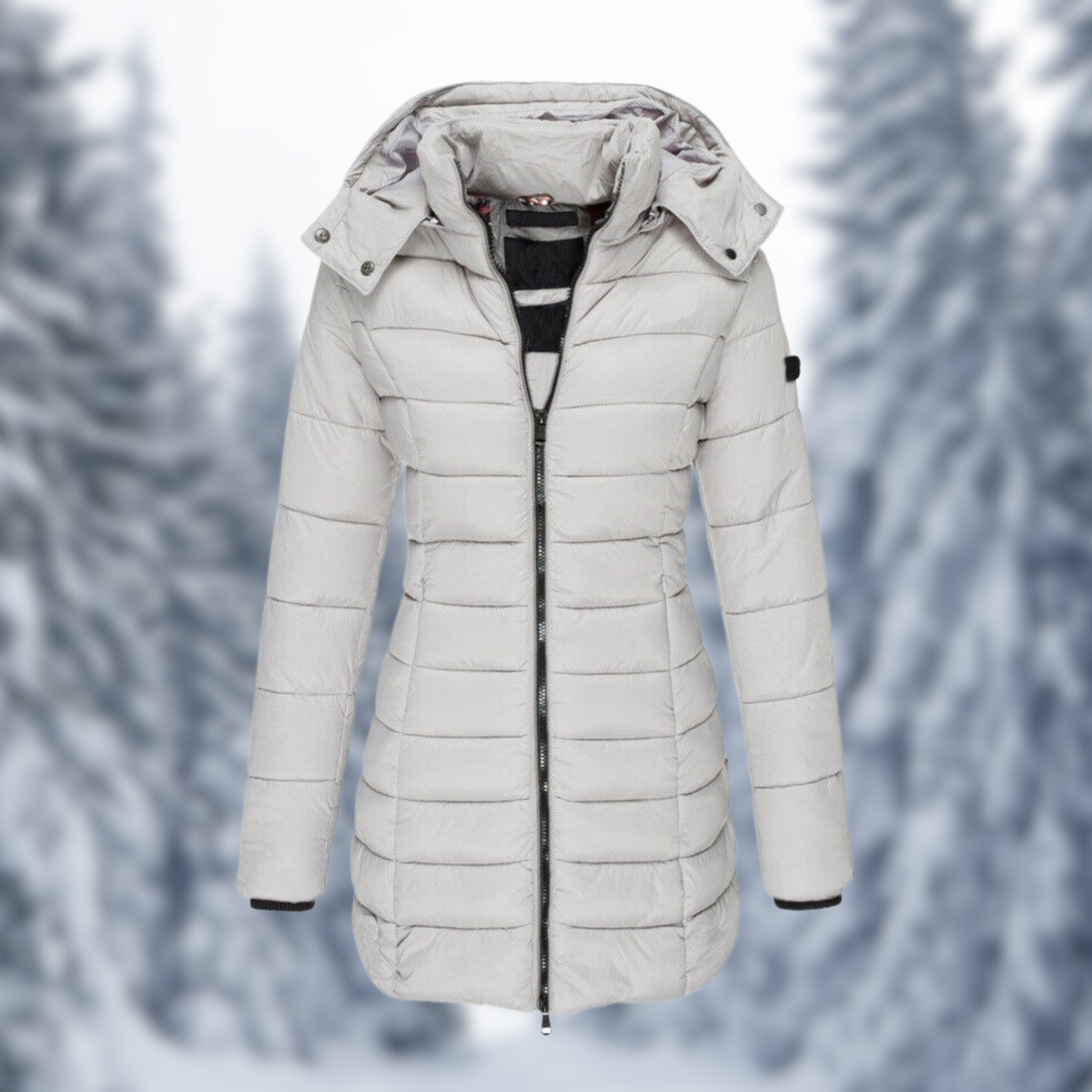 Damen Winterjacke mit Kapuze und Steppung