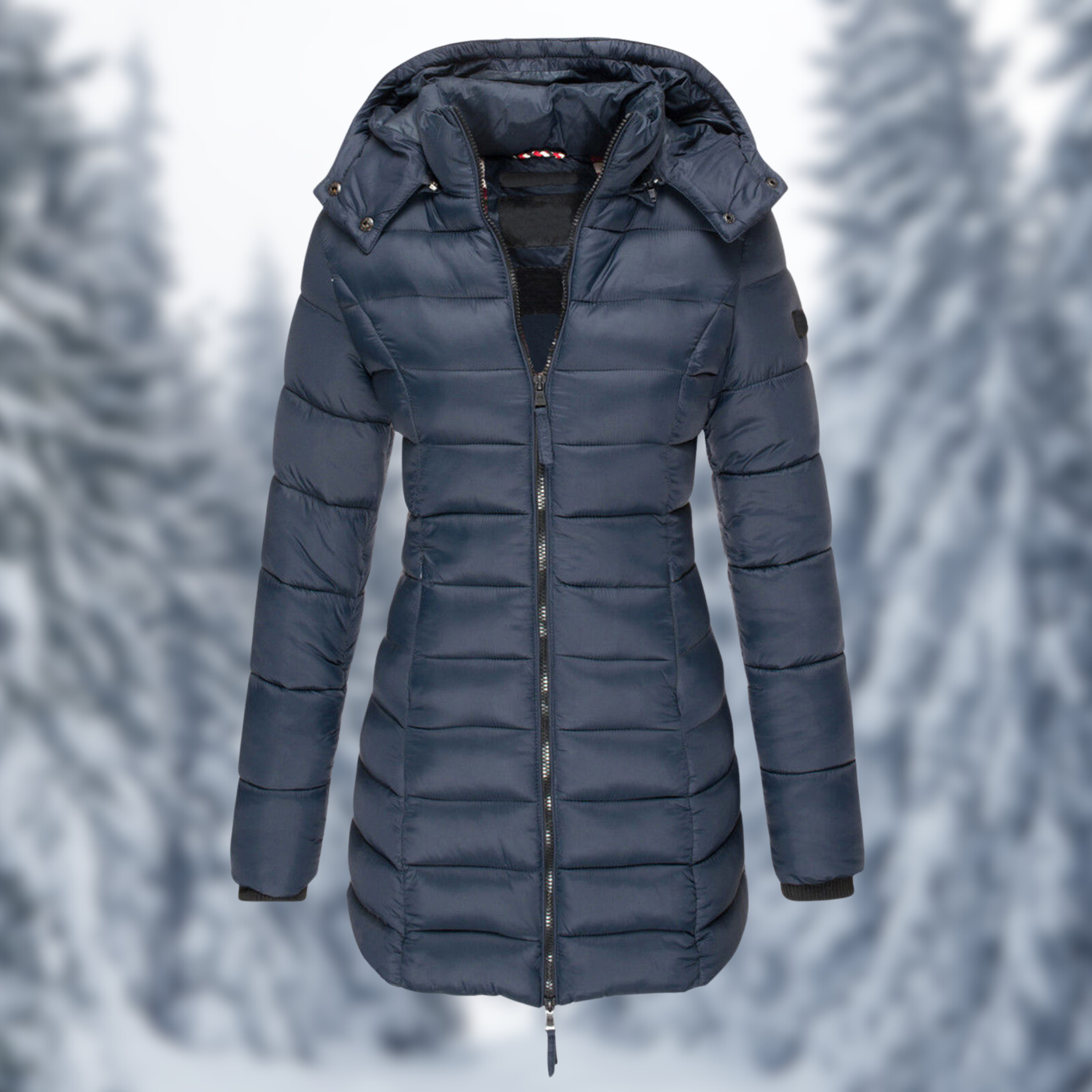 Damen Winterjacke mit Kapuze und Steppung